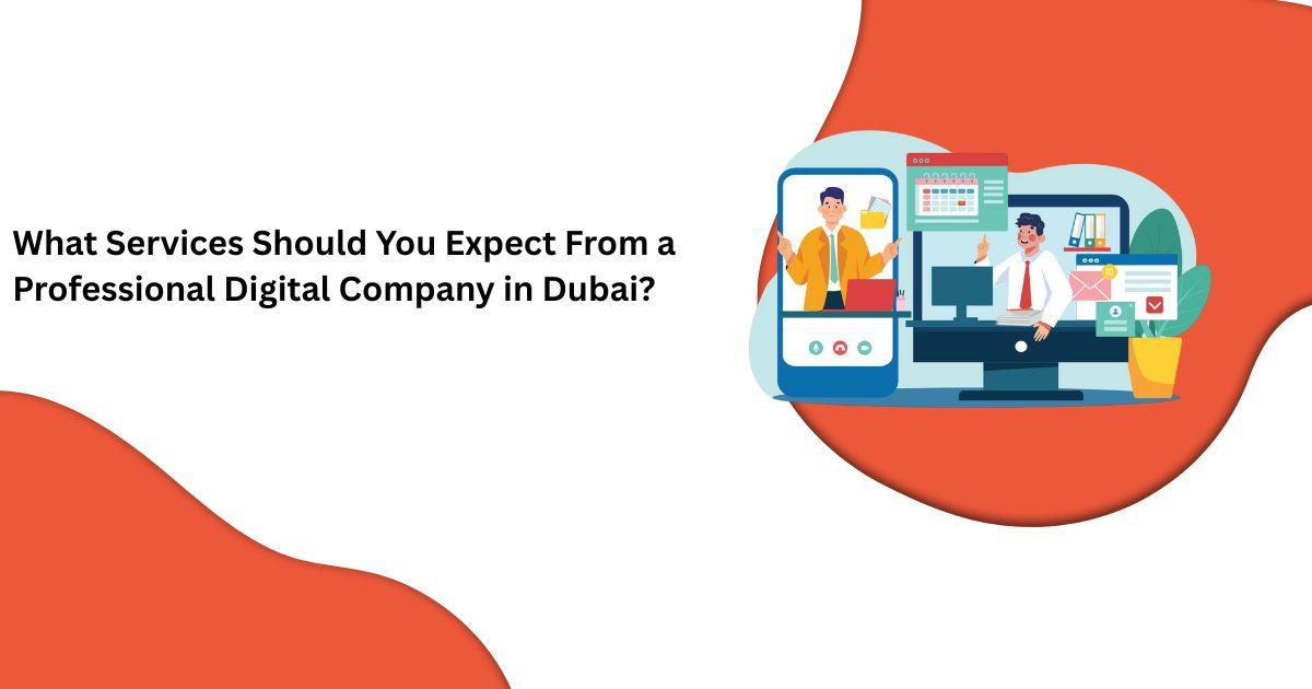 What Services Should You Expect From a Professional Digital Company in Dubai?